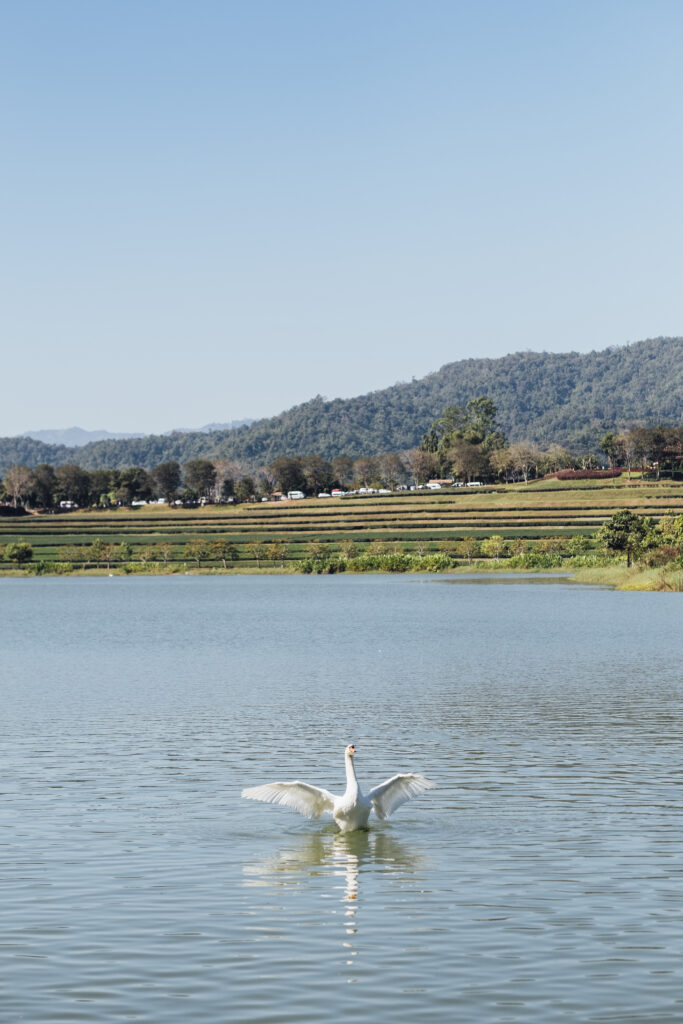 Laguna Niguel